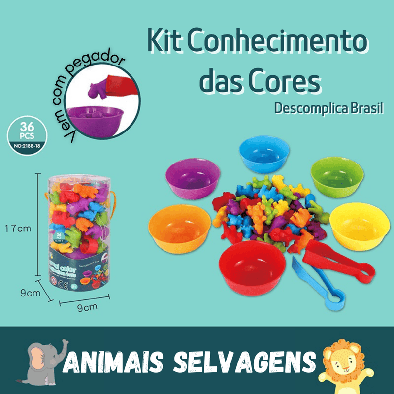 Kit Conhecimento das Cores - Descomplica Brasil™ + Ebook Colorir BRINDE