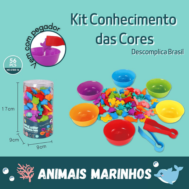 Kit Conhecimento das Cores - Descomplica Brasil™ + Ebook Colorir BRINDE